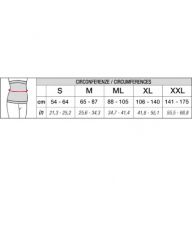 Abdominal Band Nera | Solidea | Wingsbeat