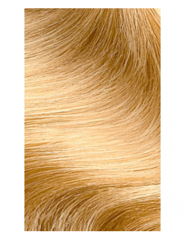Tinta Capelli 9.3 Biondo Chiarissimo Dorato | FlowerTint | Wingsbeat