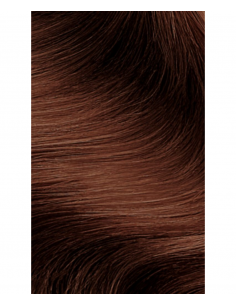 Tinta Capelli 6.4 Biondo Scuro Ramato | FlowertTint | Wingsbeat 2