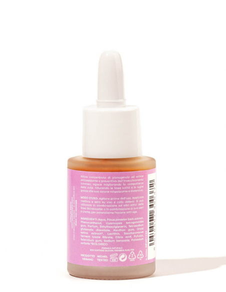 Attivo puro Picnogenolo | Ashi | Wingsbeat