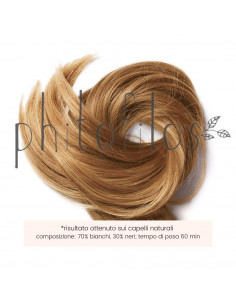 Castano Cannella | Phitofilos | Wingsbeat 2