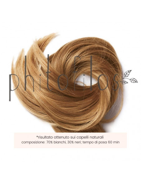 Castano Cannella | Phitofilos | Wingsbeat Castano Cannella | Phitofilos | Wingsbeat