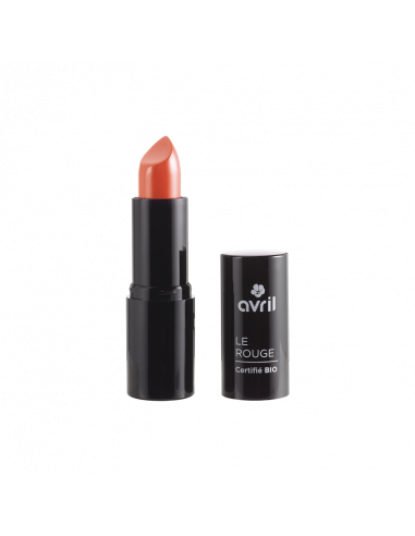 Rossetto Terracotta n°676 | Avril | Wingsbeat