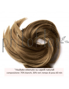 Castano Cioccolato | Phitofilos | Wingsbeat 2