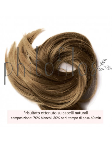 Castano Cioccolato | Phitofilos | Wingsbeat Castano Cioccolato | Phitofilos | Wingsbeat