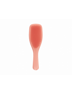 TT The Wet Detangler Fine & Fragile Sweet Cinnamon | Tangle Teezer | Wingsbeat