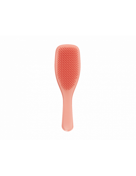 TT The Wet Detangler Fine & Fragile Sweet Cinnamon | Tangle Teezer | Wingsbeat TT The Wet Detangler Fine & Fragile Sweet Cinnamon | Tangle Teezer | Wingsbeat