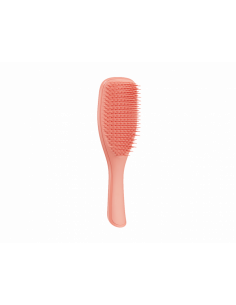 TT The Wet Detangler Fine & Fragile Sweet Cinnamon | Tangle Teezer | Wingsbeat 2