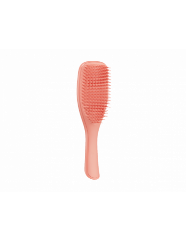 TT The Wet Detangler Fine & Fragile Sweet Cinnamon | Tangle Teezer | Wingsbeat TT The Wet Detangler Fine & Fragile Sweet Cinnamon | Tangle Teezer | Wingsbeat