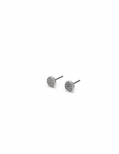 Veramè|Sofia Argento|Wingsbeat 2