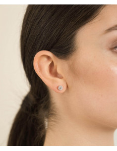 Veramè|Giogia Argento|Wingsbeat 2