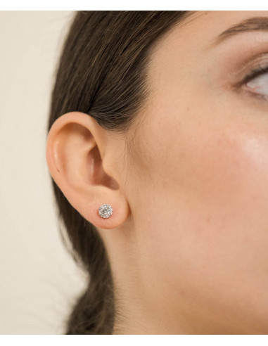 Veramè|Giogia Argento|Wingsbeat