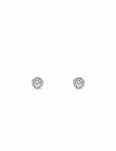 Veramè|Giogia Argento|Wingsbeat