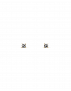 Veramè|Simona Oro|Wingsbeat