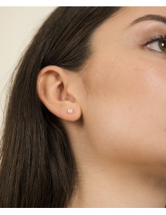 Veramè|Carlotta Argento|Wingsbeat 2