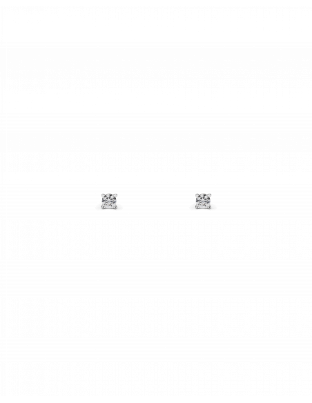 Veramè|Simonetta Argento|Wingsbeat Veramè|Simonetta Argento|Wingsbeat