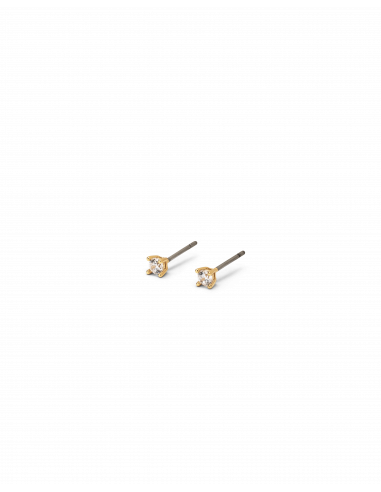 Veramè|Simonetta Oro|Wingsbeat Veramè|Simonetta Oro|Wingsbeat