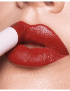 Pure Beauty Lipstick Mahogany | Astra | Wingsbeat 2
