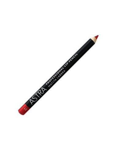 Professional Lip Pencil Matita Labbra 31 Red Lips | Acquista su Wingsbeat