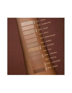 Transformist Foundation + Concealer Shell 02C | Acquista su Wingsbeat 2