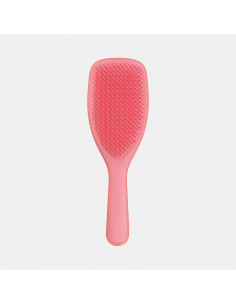 TT The Ultimate Detangler Large Salmon | Acquista su Wingsbeat 2