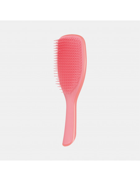 TT The Ultimate Detangler Large Salmon | Acquista su Wingsbeat TT The Ultimate Detangler Large Salmon | Acquista su Wingsbeat