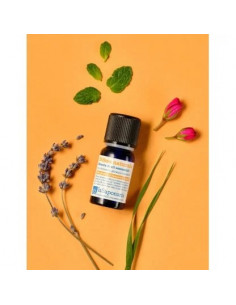 Difesa Naturale - Mix di Oli Essenziali | Acquista su Wingsbeat 2