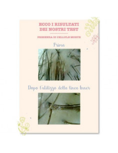 Lozione Capelli Detox con prebiotici di Uva Incenso e Zenzero | Acquista su Wingsbeat 2