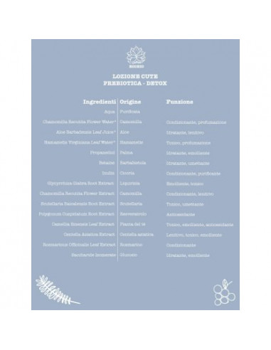 Lozione Capelli Detox con prebiotici di Uva Incenso e Zenzero | Acquista su Wingsbeat Lozione Capelli Detox con prebiotici di Uva Incenso e Zenzero | Acquista su Wingsbeat