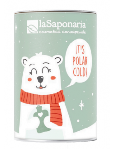 Salvadanaio Orso Polare - Kit Viso | Acquista su Wingsbeat