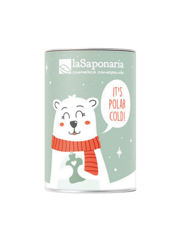 Salvadanaio Orso Polare - Kit Viso | Acquista su Wingsbeat