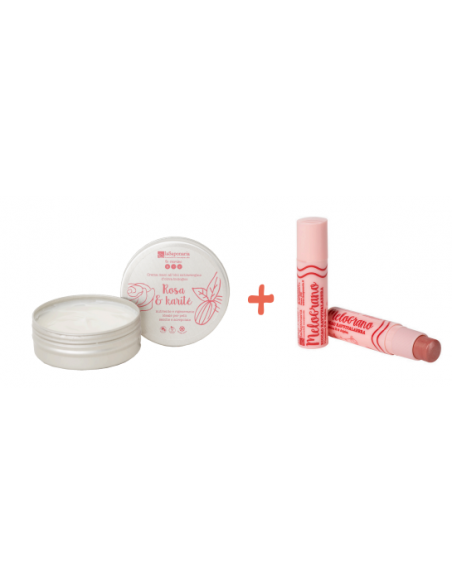 Salvadanaio Volpe Artica - Kit Mani e Labbra | Acquista su Wingsbeat