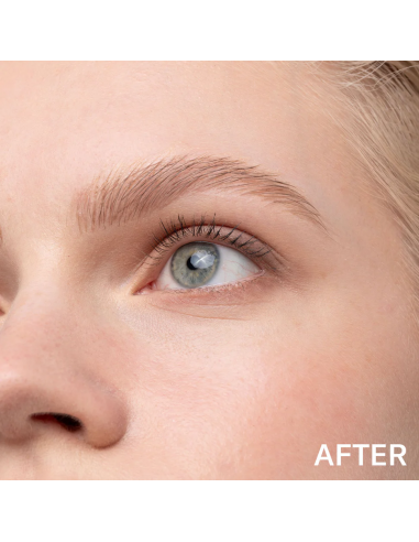 SIGNABROW Blonde| Acquista su Wingsbeat