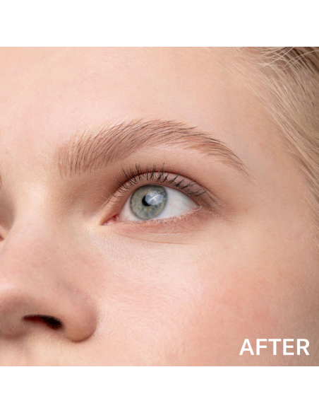 SIGNABROW Blonde| Acquista su Wingsbeat