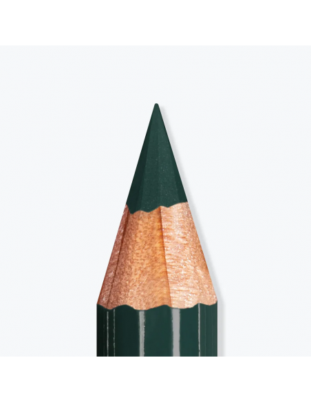 ARTIST EYES Teal| Acquista su Wingsbeat