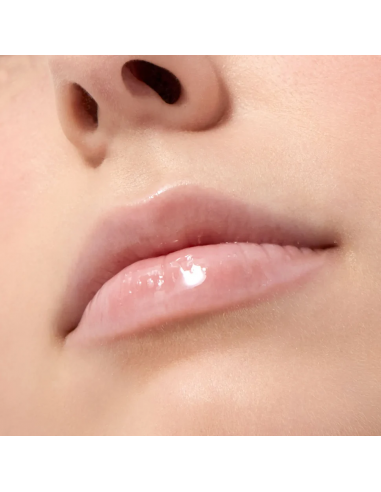 GLOSS MATRIX Glazed | Acquista su Wingsbeat GLOSS MATRIX Glazed | Acquista su Wingsbeat