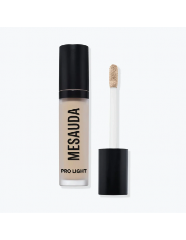 Pro Light Concealer C10 | Acquista su Wingsbeat