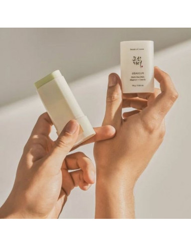 Beauty of Joseon Matte Sun Stick Mugwort+Camelia SPF50+ PA++++ | Wingsbeat