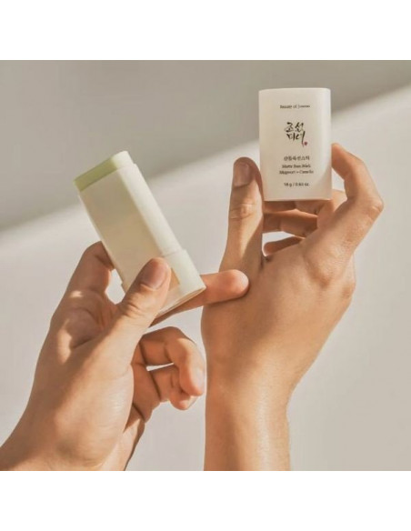Beauty of Joseon Matte Sun Stick Mugwort+Camelia SPF50+ PA++++ | Wingsbeat