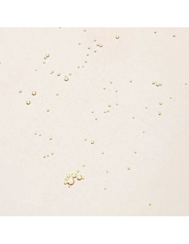 Ginseng Cleansing Oil|Beauty of Joseon|Wingsbeat Ginseng Cleansing Oil|Beauty of Joseon|Wingsbeat