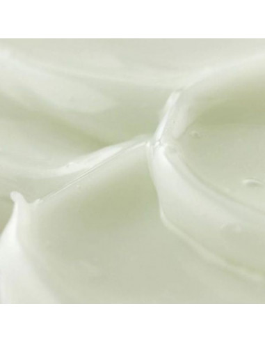 Light On Serum Centella + Vita C|Beuty of Joseon|Wingsbeat Light On Serum Centella + Vita C|Beuty of Joseon|Wingsbeat