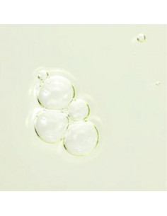 Calming Serum: Green tea + Panthenol|Beauty of Joseon|Wingsbeat 2