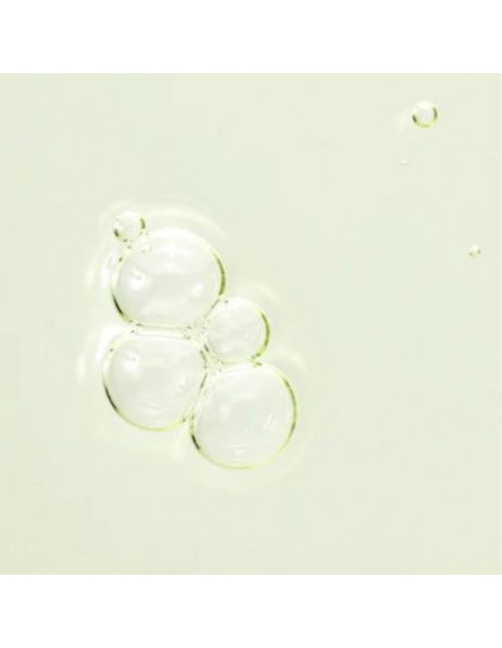 Calming Serum: Green tea + Panthenol|Beauty of Joseon|Wingsbeat Calming Serum: Green tea + Panthenol|Beauty of Joseon|Wingsbeat