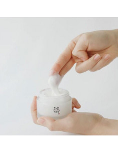 Dynasty Cream|Beauty of Joseon |Wingsbeat 2