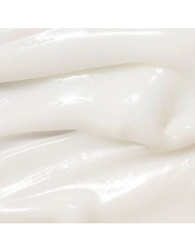 Dynasty Cream|Beauty of Joseon |Wingsbeat Dynasty Cream|Beauty of Joseon |Wingsbeat