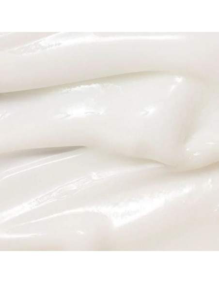 Dynasty Cream|Beauty of Joseon |Wingsbeat Dynasty Cream|Beauty of Joseon |Wingsbeat