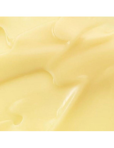 Revive Eye Serum: Ginseng + Retinal|Beauty of Joseon |Wingsbeat Revive Eye Serum: Ginseng + Retinal|Beauty of Joseon |Wingsbeat