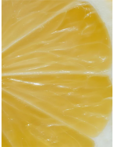 Vitamin C 2%|Ashi Organic Cosmetics|Wingsbeat