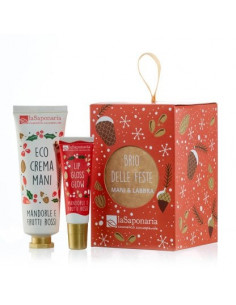 Lanterna Brio delle feste|La Saponaria|Wingsbeat