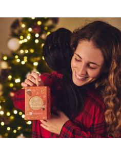 Lanterna Brio delle feste|La Saponaria|Wingsbeat 2